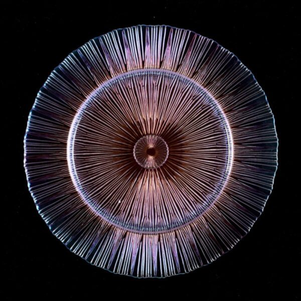 Wholesale glass charger plate PZ-052 product photo